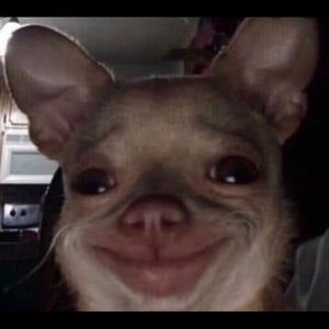 Meet your Posher, Manuel